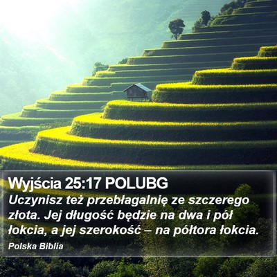 Wyjścia 25:17 POLUBG Bible Verse Image