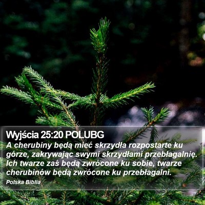 Wyjścia 25:20 POLUBG Bible Verse Image