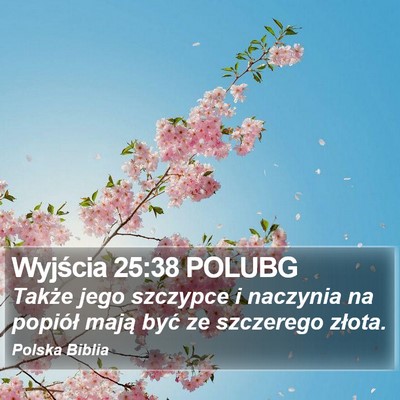 Wyjścia 25:38 POLUBG Bible Verse Image