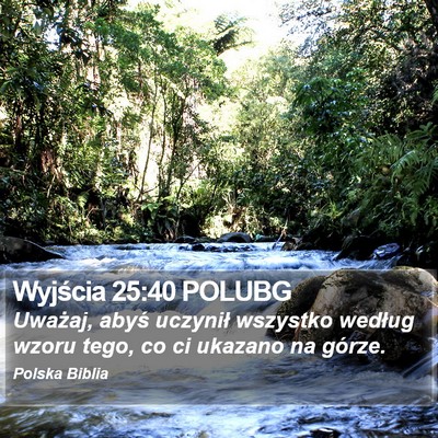 Wyjścia 25:40 POLUBG Bible Verse Image