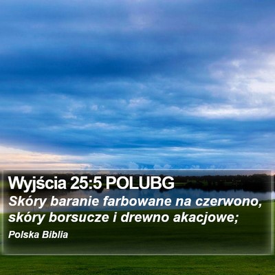 Wyjścia 25:5 POLUBG Bible Verse Image