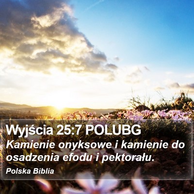 Wyjścia 25:7 POLUBG Bible Verse Image