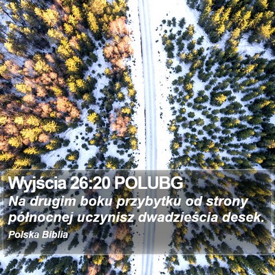 Wyjścia 26:20 POLUBG Bible Verse Image