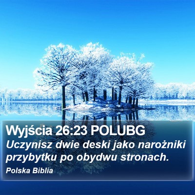 Wyjścia 26:23 POLUBG Bible Verse Image