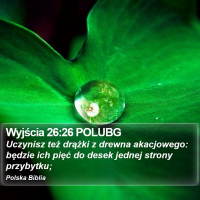 Wyjścia 26:26 POLUBG Bible Verse Image