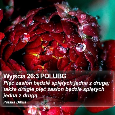 Wyjścia 26:3 POLUBG Bible Verse Image