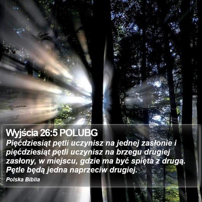 Wyjścia 26:5 POLUBG Bible Verse Image