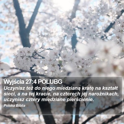 Wyjścia 27:4 POLUBG Bible Verse Image