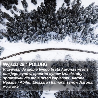 Wyjścia 28:1 POLUBG Bible Verse Image