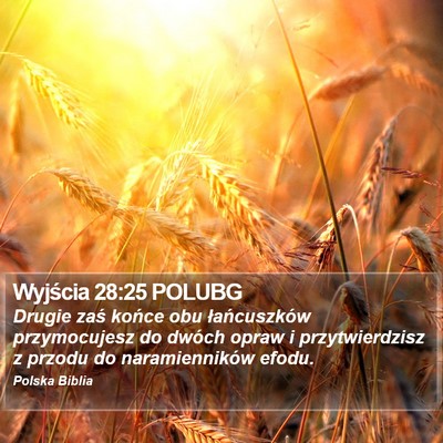 Wyjścia 28:25 POLUBG Bible Verse Image
