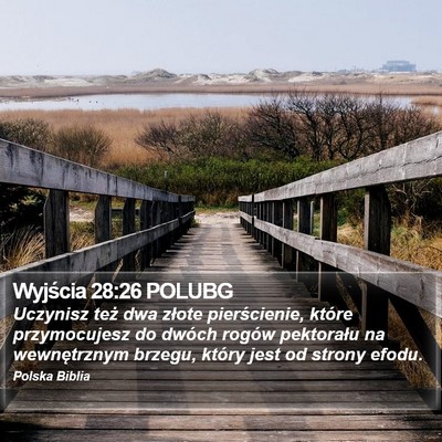 Wyjścia 28:26 POLUBG Bible Verse Image
