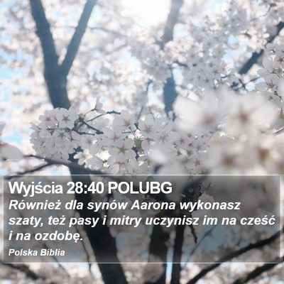 Wyjścia 28:40 POLUBG Bible Verse Image