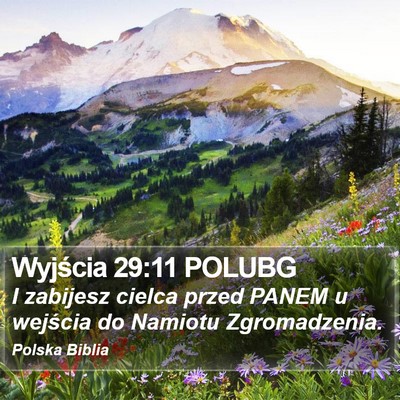 Wyjścia 29:11 POLUBG Bible Verse Image