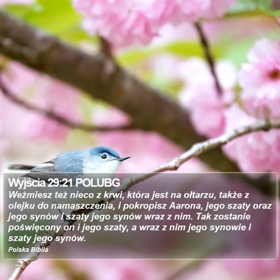 Wyjścia 29:21 POLUBG Bible Verse Image