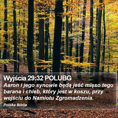 Wyjścia 29:32 POLUBG Bible Verse Image