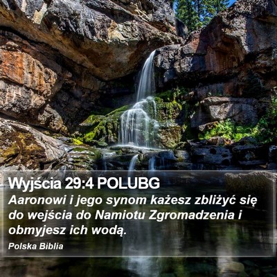 Wyjścia 29:4 POLUBG Bible Verse Image