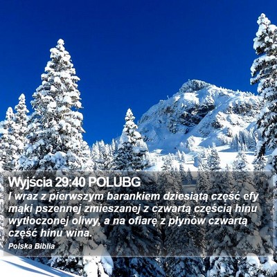 Wyjścia 29:40 POLUBG Bible Verse Image