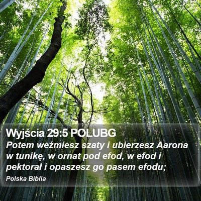Wyjścia 29:5 POLUBG Bible Verse Image