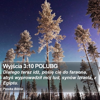 Wyjścia 3:10 POLUBG Bible Verse Image