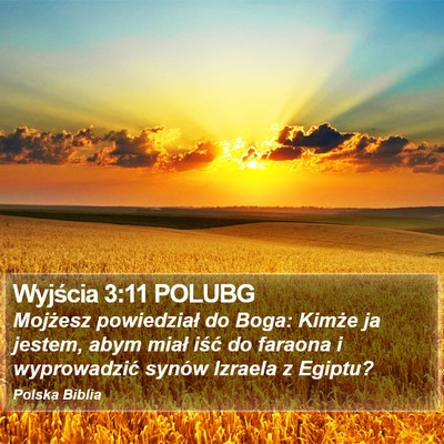 Wyjścia 3:11 POLUBG Bible Verse Image