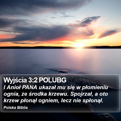Wyjścia 3:2 POLUBG Bible Verse Image