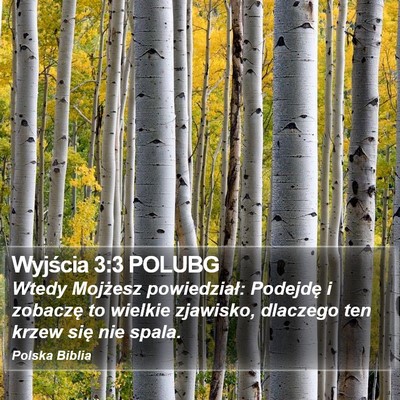 Wyjścia 3:3 POLUBG Bible Verse Image