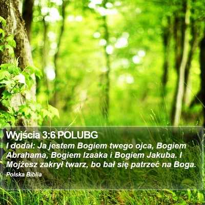 Wyjścia 3:6 POLUBG Bible Verse Image