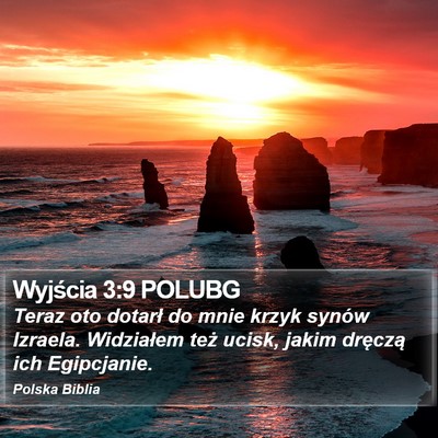 Wyjścia 3:9 POLUBG Bible Verse Image