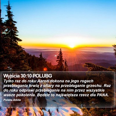 Wyjścia 30:10 POLUBG Bible Verse Image