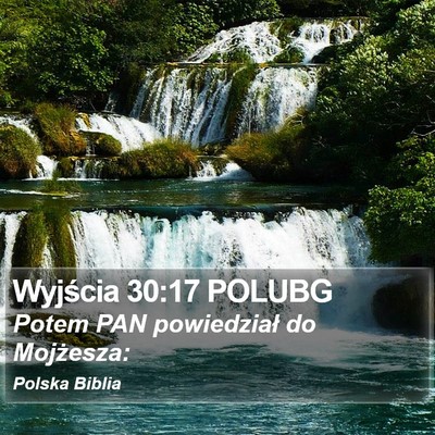 Wyjścia 30:17 POLUBG Bible Verse Image