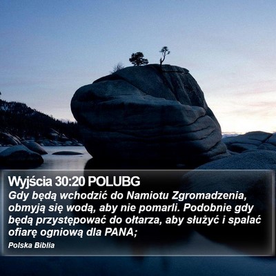 Wyjścia 30:20 POLUBG Bible Verse Image
