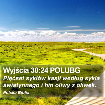 Wyjścia 30:24 POLUBG Bible Verse Image