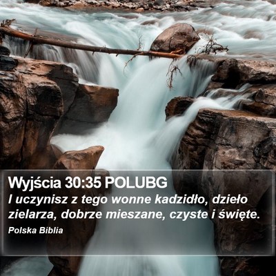 Wyjścia 30:35 POLUBG Bible Verse Image