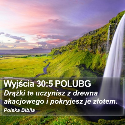 Wyjścia 30:5 POLUBG Bible Verse Image