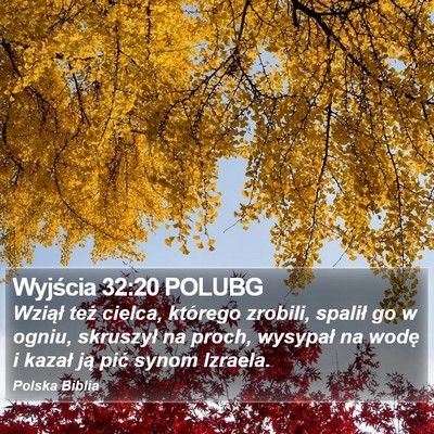Wyjścia 32:20 POLUBG Bible Verse Image
