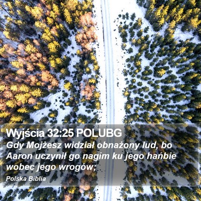 Wyjścia 32:25 POLUBG Bible Verse Image