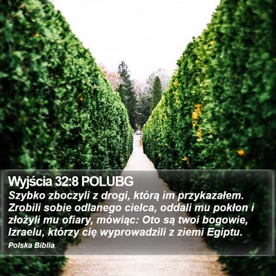 Wyjścia 32:8 POLUBG Bible Verse Image