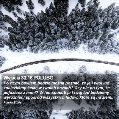Wyjścia 33:16 POLUBG Bible Verse Image