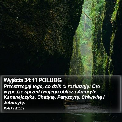 Wyjścia 34:11 POLUBG Bible Verse Image
