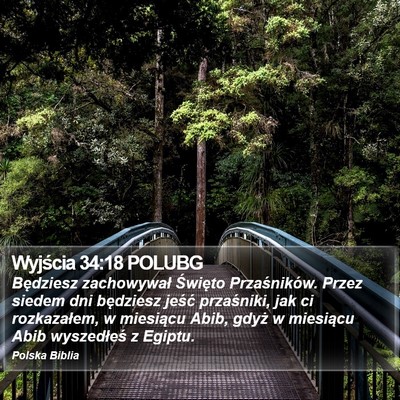 Wyjścia 34:18 POLUBG Bible Verse Image