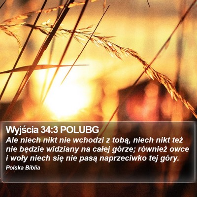 Wyjścia 34:3 POLUBG Bible Verse Image