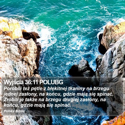 Wyjścia 36:11 POLUBG Bible Verse Image