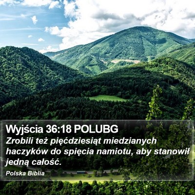 Wyjścia 36:18 POLUBG Bible Verse Image