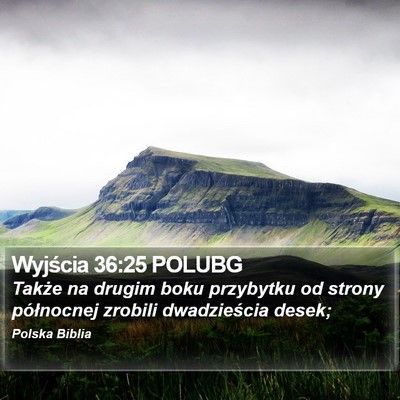 Wyjścia 36:25 POLUBG Bible Verse Image