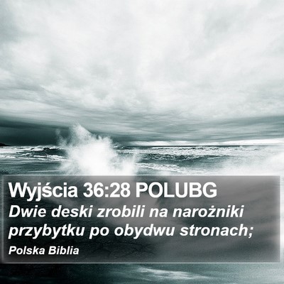Wyjścia 36:28 POLUBG Bible Verse Image