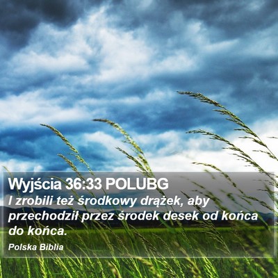 Wyjścia 36:33 POLUBG Bible Verse Image