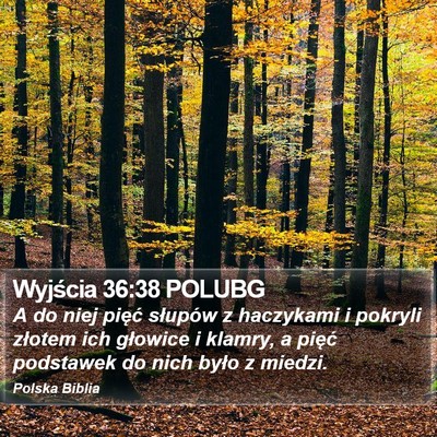 Wyjścia 36:38 POLUBG Bible Verse Image