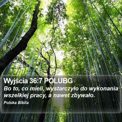 Wyjścia 36:7 POLUBG Bible Verse Image