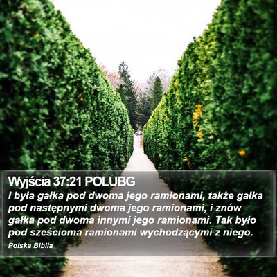 Wyjścia 37:21 POLUBG Bible Verse Image