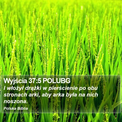 Wyjścia 37:5 POLUBG Bible Verse Image